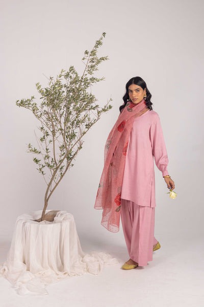 Phool-Rang-&-Dastaan-Baagh-3-Piece-S25F7145-Baby Pink-8